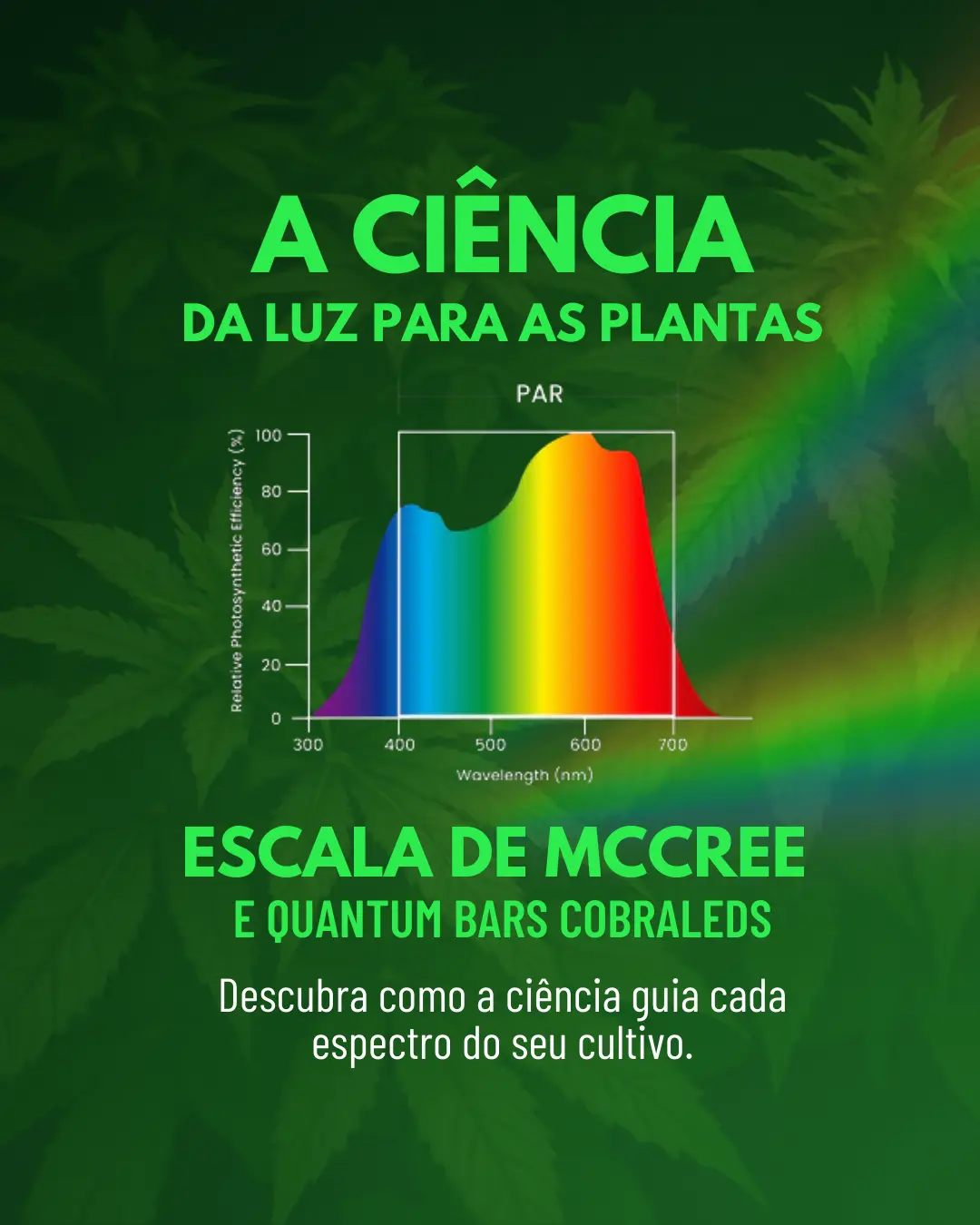 Capa do guia 2