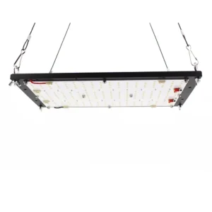 Quantum Board 150W Samsung LM301H Meanwell - Foto Principal